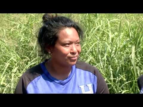 Watch LIVE: Mother of Missing Non-verbal 12-Year-Old Speaks as search continues