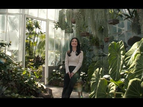 Stand for Truth: Christine Pae | KING 5 News