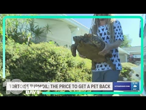Florida man says he was forced to pay nearly $1,000 to get pet tortoise back