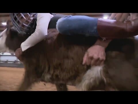 7-year-old bull rider takes rodeo by storm