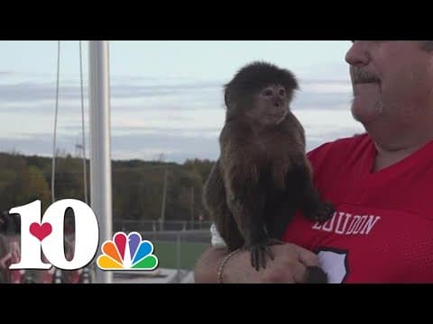 10Sports Blitz: Loudon falls to Red Bank, 14-0