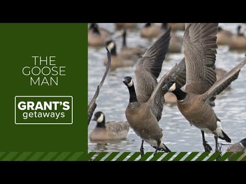 Meet the wildlife expert who wrote the book on Oregon's visiting geese | Grant’s Getaways