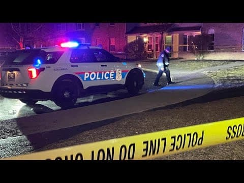 Police: 3-year-old boy shot inside Blacklick home