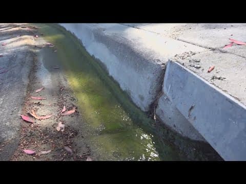 Mystery water flow flooding backyards in Rancho Peñasquitos
