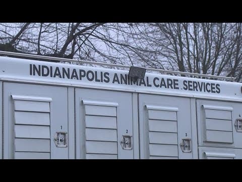 Second dog captured after deadly attack