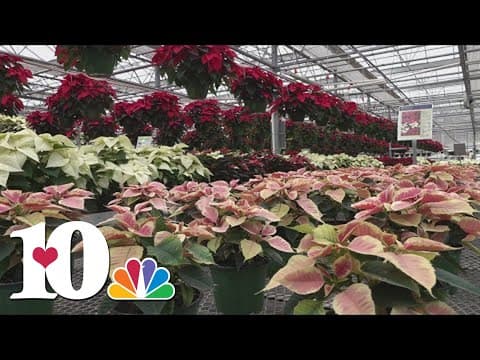 Stanley's Greenhouse prepares for Small Business Saturday