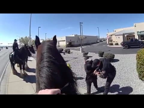 Shoplifter chased by police on horseback in New Mexico