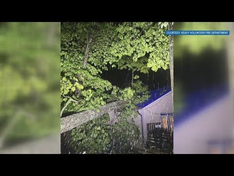 Tree falls on home just outside London, KY, after Tuesday night's storm