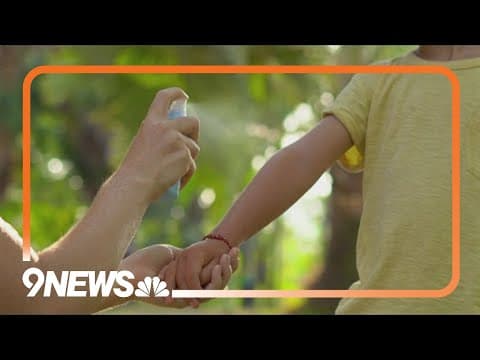 What is the best insect repellent?