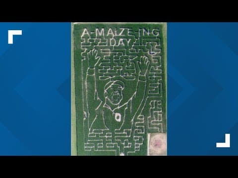 Union County farm pays tribute to Ohio State head coach Ryan Day with corn maze design