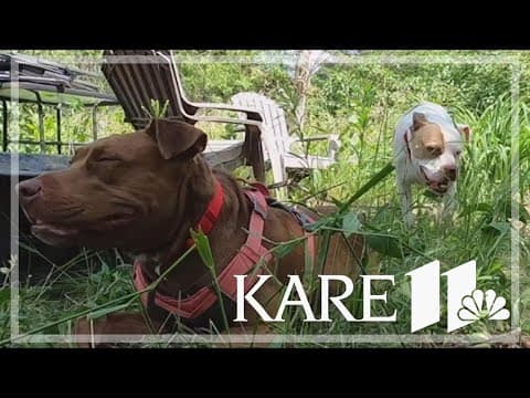 Brenda and Linda, happily together after all