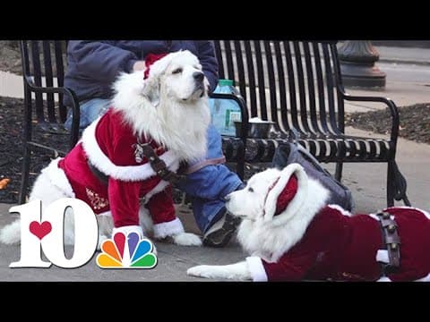 Holiday lights and 'Santa Paws' fill Krutch Park in downtown Knoxville