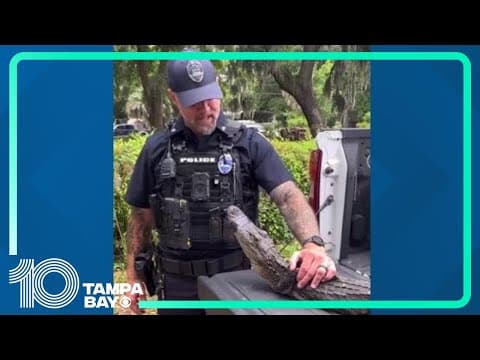 Later gator: Deputies and trapper remove gator from 104-year-old woman's house