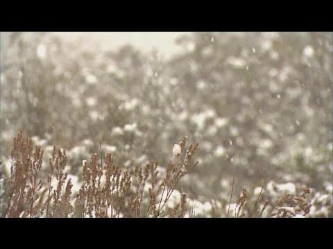 Storm pounds San Diego | Winter Storm Warning in place for mountain communities