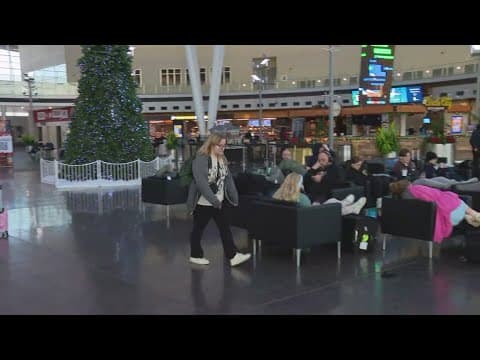 AAA predicts holiday travel record as 119 million people expected to hit roads, skies