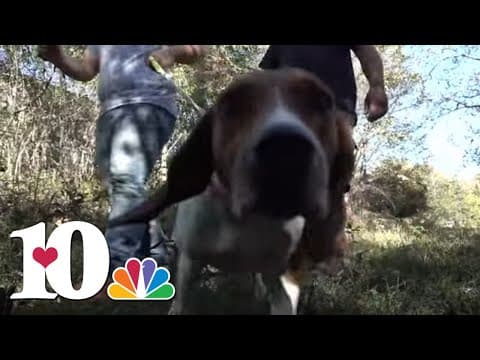 Union County man seeking justice after hunting dog was shot and killed