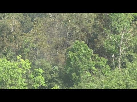 Sheriff: Pilot escapes small plane crash near West Houston Airport