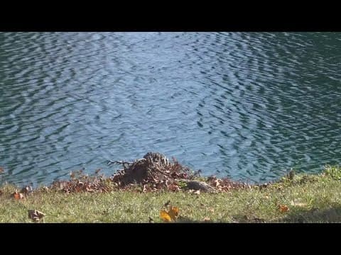 Columbus City Council looks to make retention ponds safer after several drownings