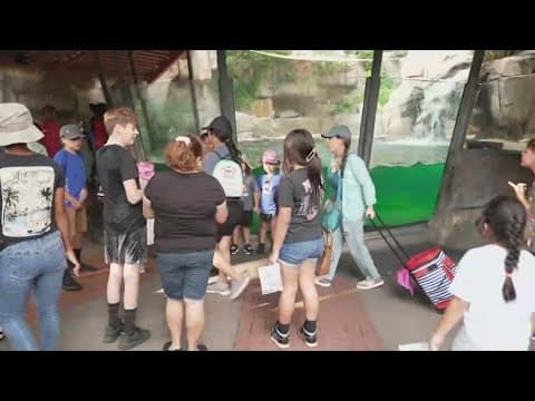 Dallas Zoo Dollar Day draws crowds