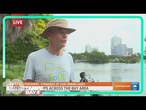 Volunteers clean up Pinellas County waterways after Fourth of July