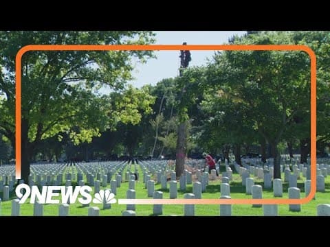Colorado arborists offer free services at Fort Logan