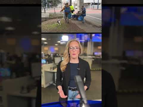 California city criminalizes 'aiding and abetting' homeless camps