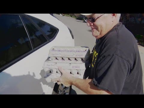 Lakeside egg farm sees more customers amid shortage at grocery stores