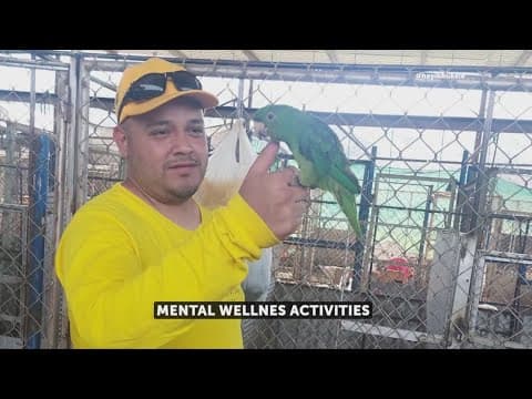 El Salvador President Bukele denies beating and torture of Kilmar Abrego Garcia