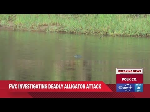 'The gator grabbed her out of the canoe': Woman dies after alligator attack in Florida