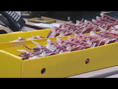 San Diego Blood Bank at dangerously low blood supply
