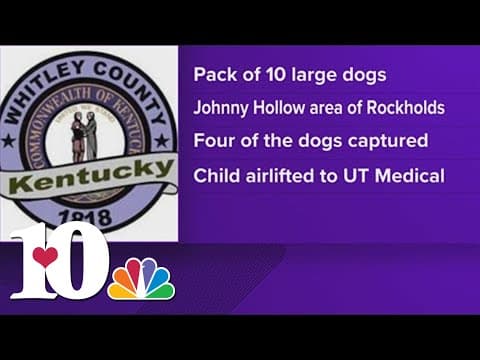 Officials: Four of 10 dogs captured after attacking 2-year-old in Whitley Co.