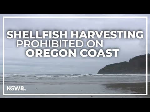 Shellfish harvesting closed along entire Oregon Coast
