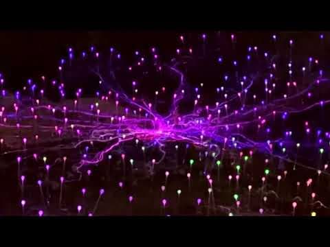 Rainbow-colored Field of Light display brightens New York City