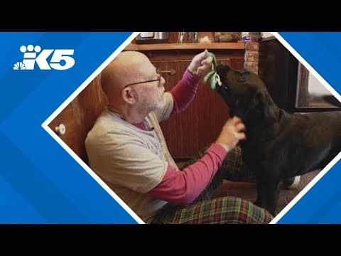 Dog seriously sickened after ingesting common cancer treatment