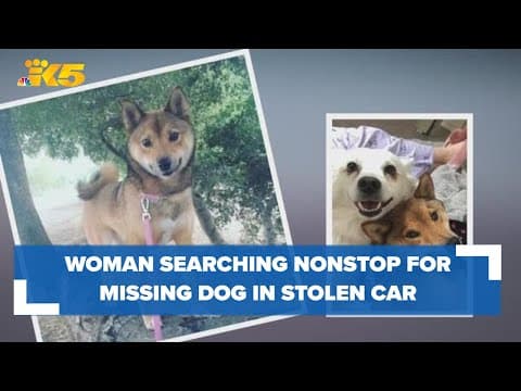 'This is a part of our family': Tacoma woman's search for missing dog in stolen car