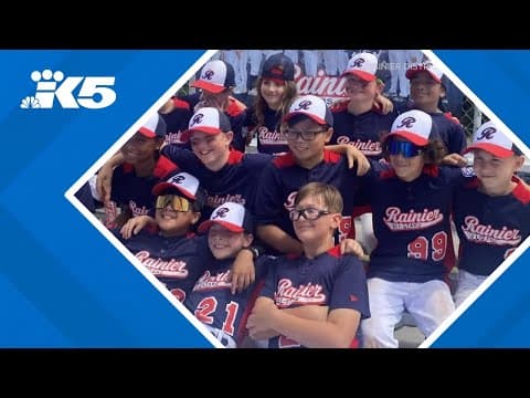 Little league organization targeted by thieves