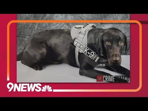 Fremont County Sheriff's Office asks for help finding missing K9