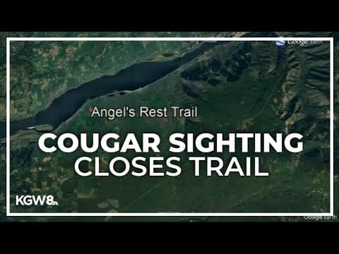 Cougar sighting closes Angel's Rest Trail in the Columbia River Gorge