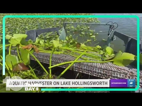 Lakeland officials deploy aquatic harvester to clean up Lake Hollingsworth