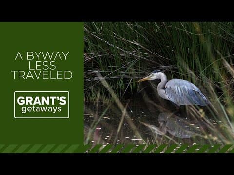 Behold the birds of an Oregon byway less traveled