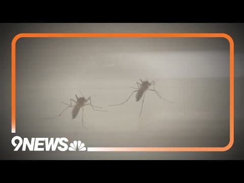 Differenced between West Nile and Triple E