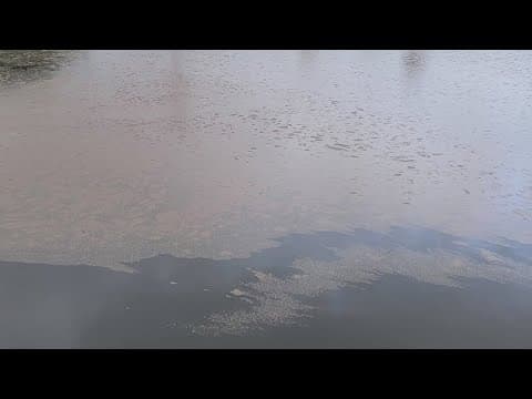 Riding a jet ski on sewage in Galveston?  That's what one resident said she saw