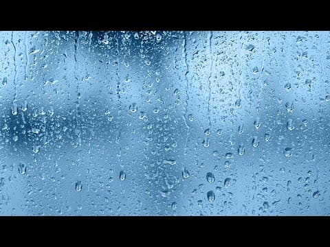 LIVE RADAR | Heavy rain moves into Tampa Bay area