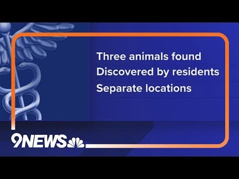 Bats found in Boulder County test positive for rabies