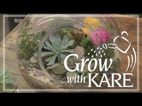 Grow with KARE: Houseplant trends to avoid