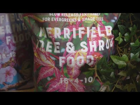 Garden Smart: How compost can help your garden thrive