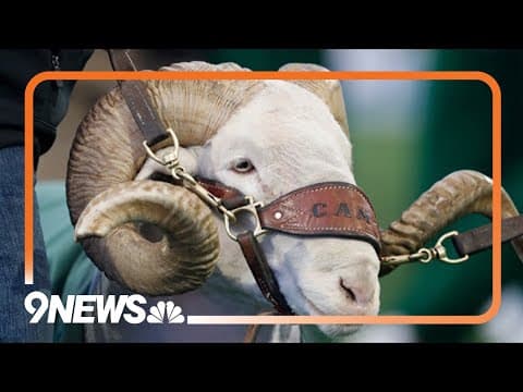 Kitchen Table Talk: National College Colors Day