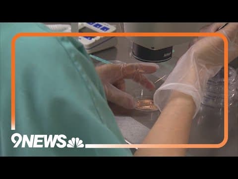 Senate Democrats To Vote On Legislation To Protect IVF