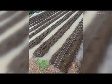 Wild Willow Farm still recovering after floodwaters destroyed their crops