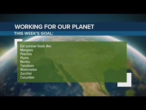 Eat seasonally and support local farms | Working for Our Planet